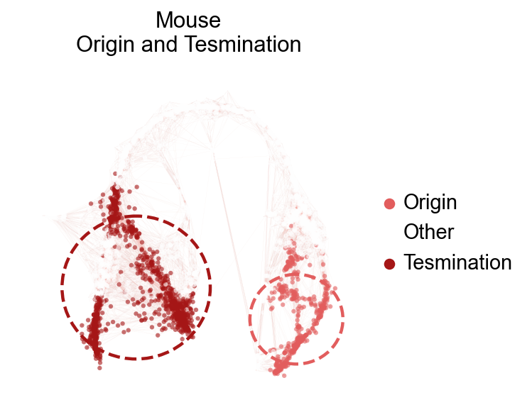 ../_images/Tutorials_mouse_panceras_35_1.png